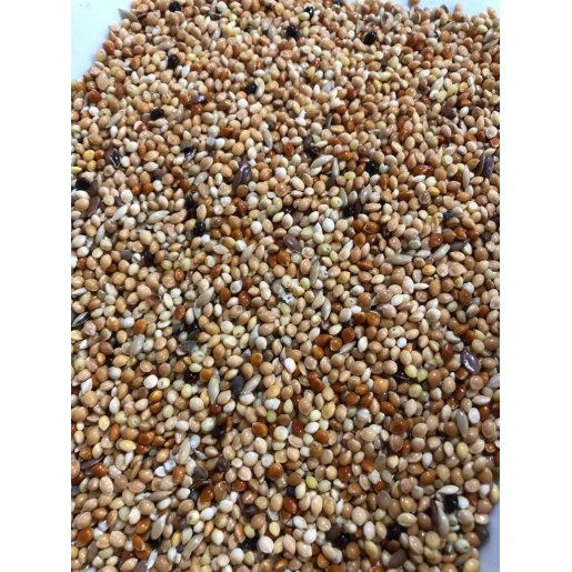 VİVİD KARIŞIK MUHABBET KUŞU YEMİ 1 KG 