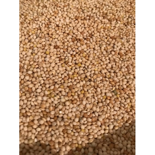 VİVİD AKDARI 20 KG ÇUVAL