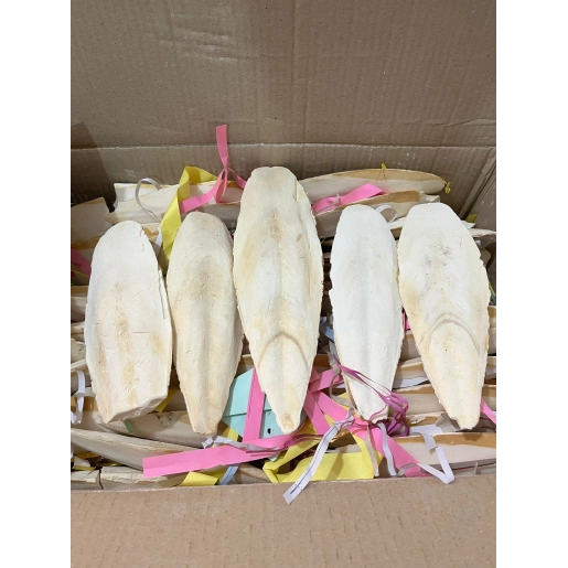 250 GRAM BÜYÜK BOY KALAMAR KEMİĞİ