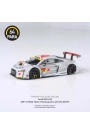  Audi R8 LMS 2017 GT 300 Team Hitotsuyama #21