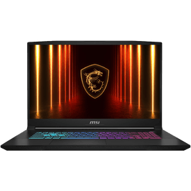 MSI 17.3