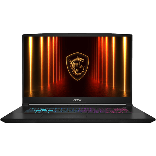 MSI 17.3