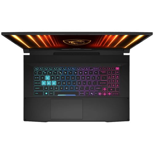 MSI 17.3