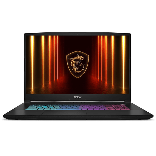 MSI 17.3