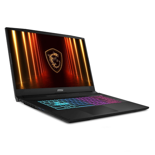 MSI 17.3