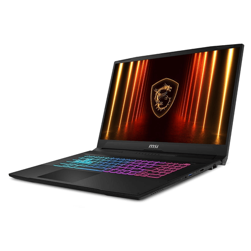 MSI 17.3