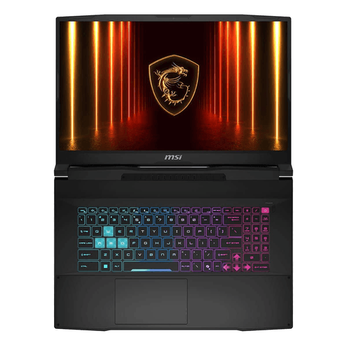 MSI 17.3