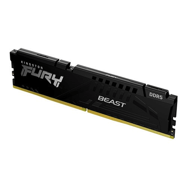 Kingston KNG FuryBest 16GB 5600 D5 KF556C36BBE-16