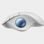 LOGITECH M575S Ergo Kablosuz Siyah Mouse (910-007029)