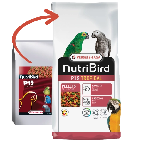 Versele Laga Nutrıbırd P19 TropIcal Pelet Yem
