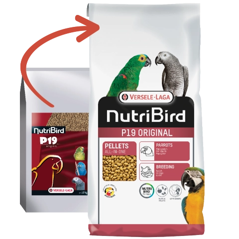Versele Laga Nutribird P19 orginal 