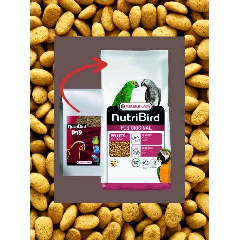 Versele laga p19 orginal Renksiz 250g