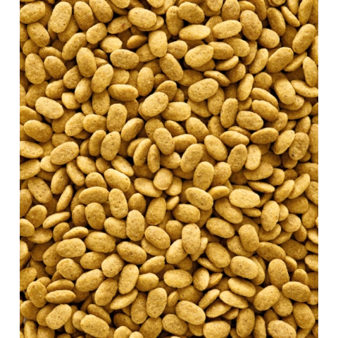 Versele laga p15 orginal Renksiz 500g Bölünmüş