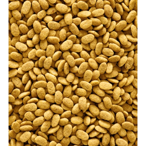 Versele laga p15 orginal Renksiz 250g
