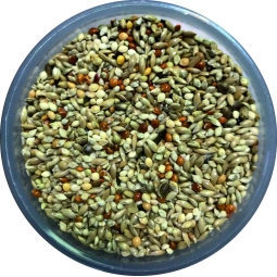 1 kg Japon Darılı Özel Karışım Üretici yemi