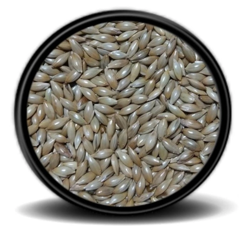 1kg  Sade Kanarya yemi (aspur )