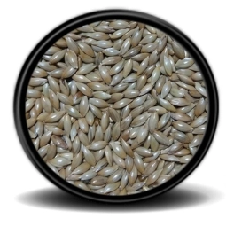 Sade Kanarya yemi (aspur )