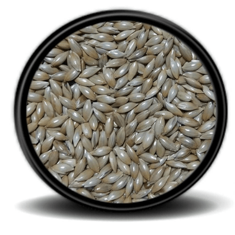 Sade Kanarya yemi (aspur )