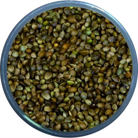 250gr Natural king Ufak Kenevir Tozsuz