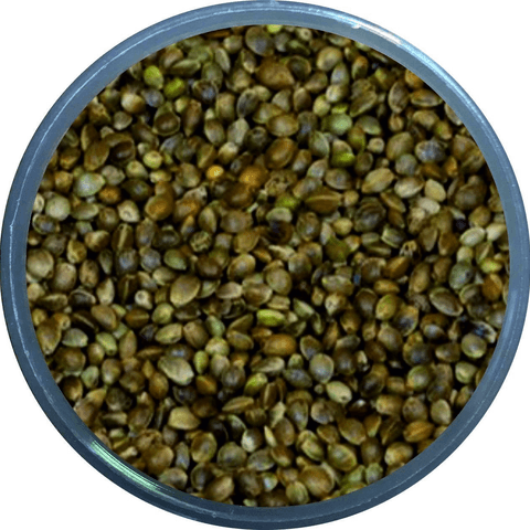 Natural King Ufak Kenevir Tozsuz