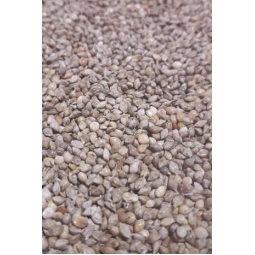 1kg Japon darısı  hızlı kilo alımı için ideal