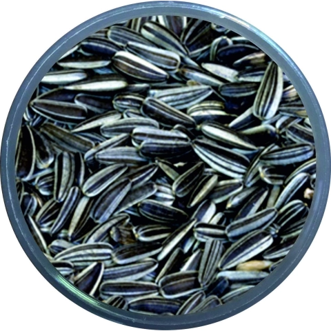 1kg Çizgili Çekirdek Küçük