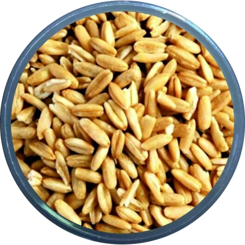 1 kg Soyulmuş (İç) Yulaf