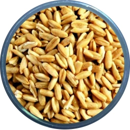 Soyulmuş (İç) Yulaf