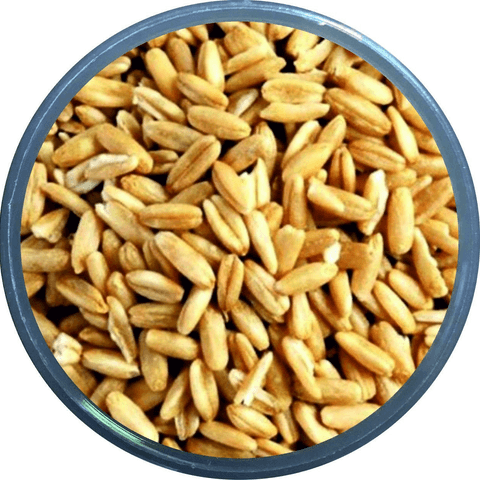 Soyulmuş (İç) Yulaf