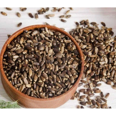 500gr Deve Dikeni Tohumu