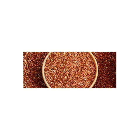 Kızıl Dal darı Tanesi elenmiş