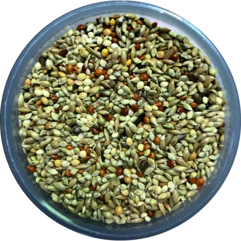 20kg Japon Darılı Özel Üretici yemi (natural yem)