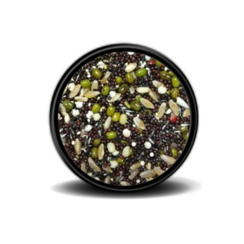 500gr Versele laga Çimlendirme tohumu