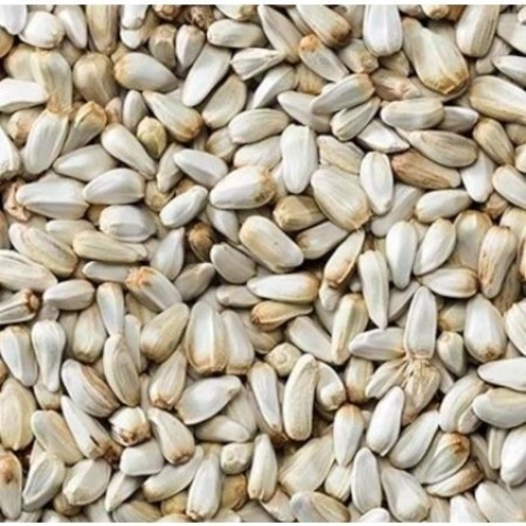 500gr aspir cekirdeği