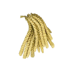 Hobi Sarı Dal Darı 