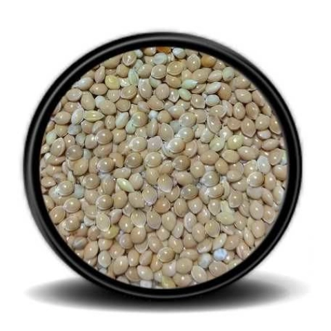 Vivid Sarı Darı 1 Kg