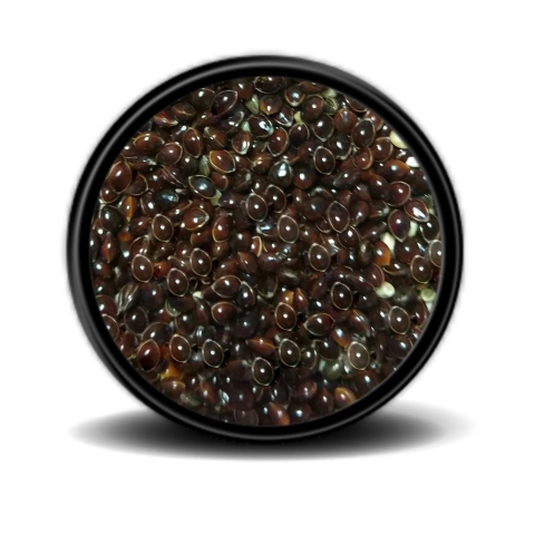 Hobi Siyah Darı 500g