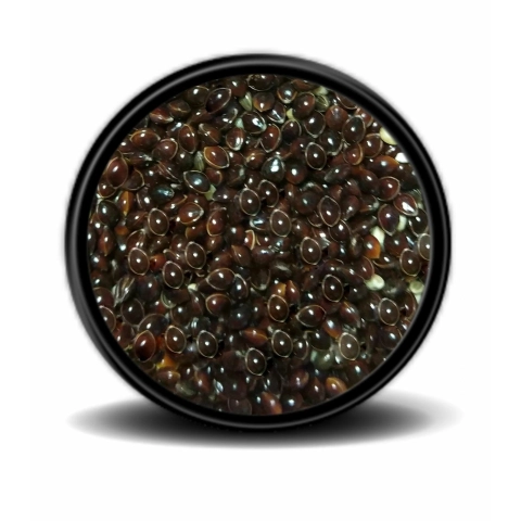 Hobi Siyah Darı 1kg