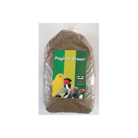 50 gr Pagima Green Sindirim Sistemi Düzenleyici Özel Çim Tohumu