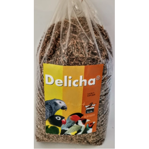 100gr Floralia Delicha Bağışıklık Güçlendirici Tohum