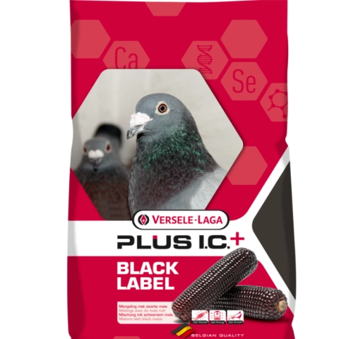 Versele Laga Gerry Plus 20 kg