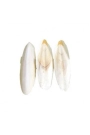 büyük boy Mürekkep Balığı Kemiği (Kalamar) 100g 