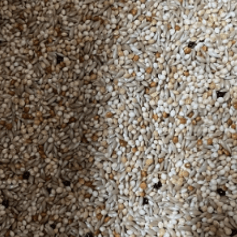 Seba Muhabbet Yem %40 aspurlu 