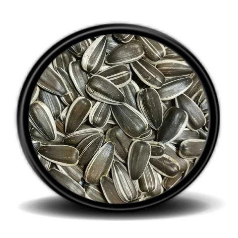 Dakota Çekirdek 500g