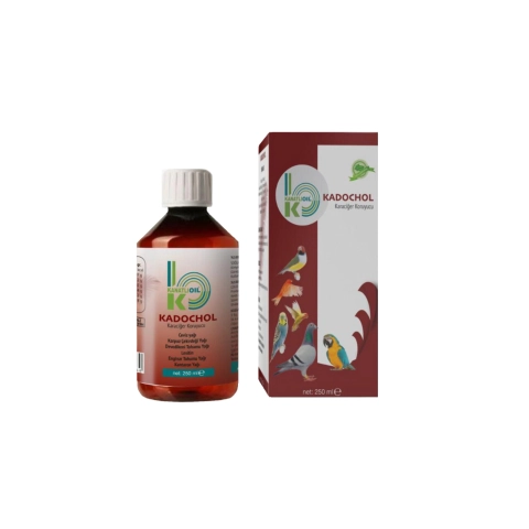 Kanatli oil Kadochol Karaciğer Destekleyici 250ml