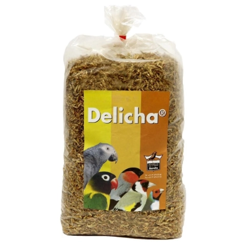 750gr Floralia Delicha Bağışıklık Güçlendirici Tohum