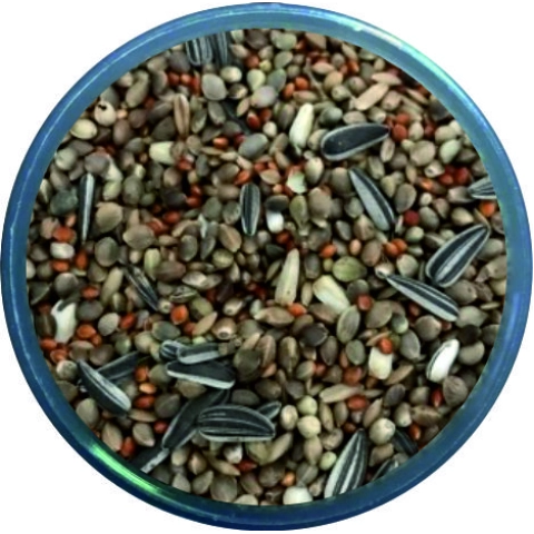 Forpus Papağani Yemi Özel Karişim Zengin İçerik 1 KG