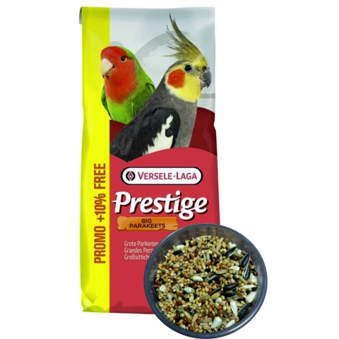  Versele Laga Prestige bigg Paraket Yemi(sultan sevda cennet) 