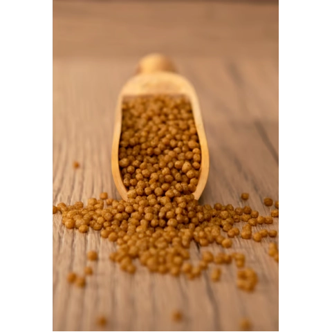 Psittacus Formula Minor -Pelet Küçük kuş Türleri(Forpus Cennet sultan p. ve muhabbet) 