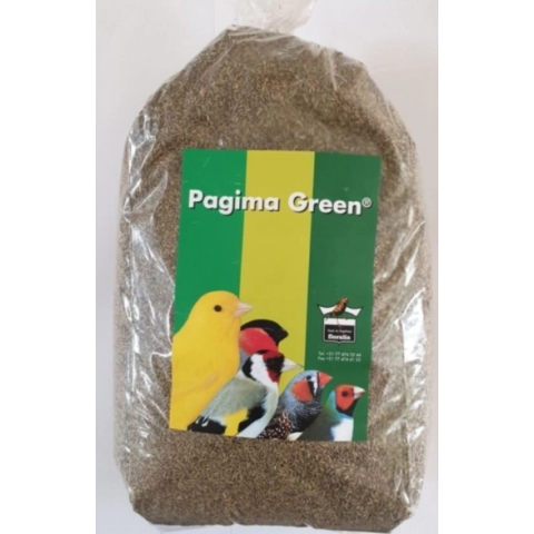 Pagima Green Sindirim Sistemi Düzenleyici Özel Çim Tohumu